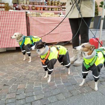 15. Weihnachtsmarkt in Schlanders; Fotos: Sepp