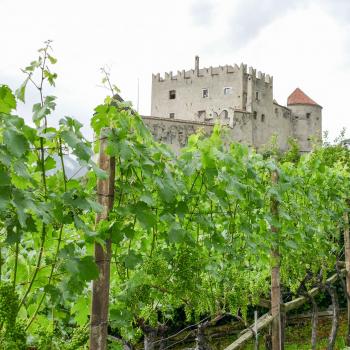 2. Vinschgauer Weinpräsentation im Schloss Kastelbell; Fotos: Sepp