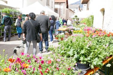 Blumen- und Gartenmarkt in Glurns; Fotos: Sepp