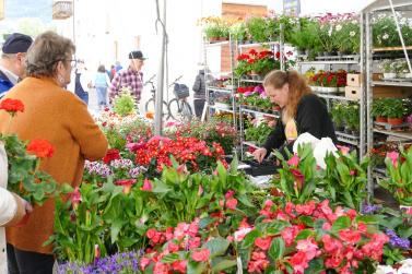 Blumen- und Gartenmarkt in Glurns; Fotos: Sepp