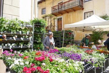 Blumen- und Gartenmarkt in Glurns; Fotos: Sepp