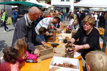 Garten- und Genussmarkt 2019 in Kastelbell. Fotos: Sepp