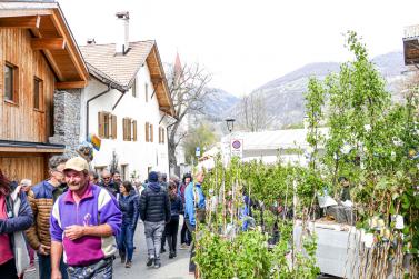 Georgimorkt in Mals (22. April 2023); Fotos: Sepp