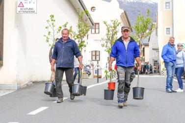 Georgimorkt in Mals (22. April 2023); Fotos: Sepp