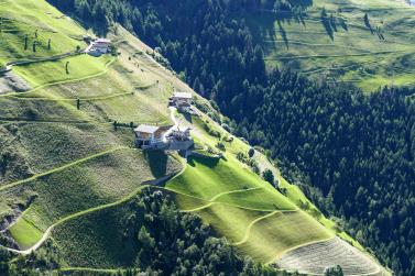 Grün ist nicht gleich grün. So gesehen am 4. Juli 2024 in St. Martin im Kofel; Fotos: Sepp