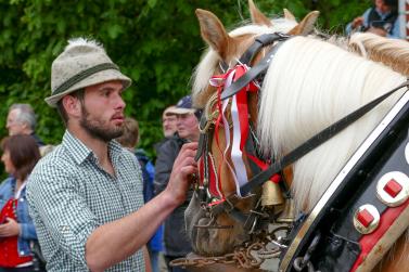 Haflinger-Umzug in Schluderns (01.06.2024); Fotos: Sepp