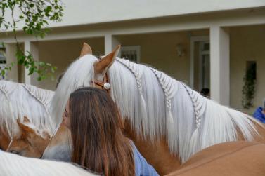 Haflinger-Umzug in Schluderns (01.06.2024); Fotos: Sepp