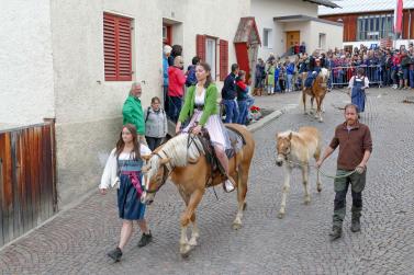 Haflinger-Umzug in Schluderns (01.06.2024); Fotos: Sepp