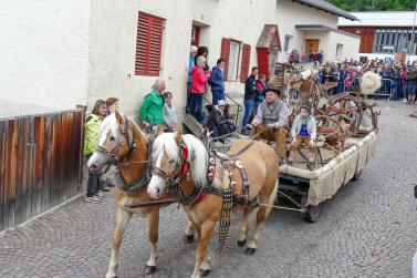 Haflinger-Umzug in Schluderns (01.06.2024); Fotos: Sepp