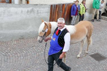 Haflinger-Umzug in Schluderns (01.06.2024); Fotos: Sepp