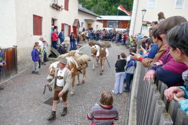 Haflinger-Umzug in Schluderns (01.06.2024); Fotos: Sepp