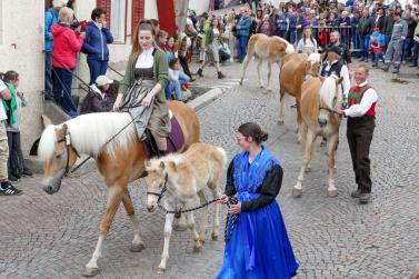 Haflinger-Umzug in Schluderns (01.06.2024); Fotos: Sepp