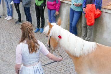 Haflinger-Umzug in Schluderns (01.06.2024); Fotos: Sepp