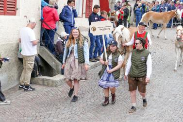 Haflinger-Umzug in Schluderns (01.06.2024); Fotos: Sepp