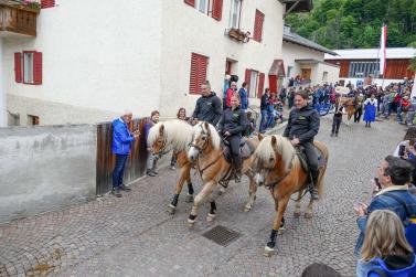 Haflinger-Umzug in Schluderns (01.06.2024); Fotos: Sepp