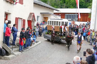 Haflinger-Umzug in Schluderns (01.06.2024); Fotos: Sepp