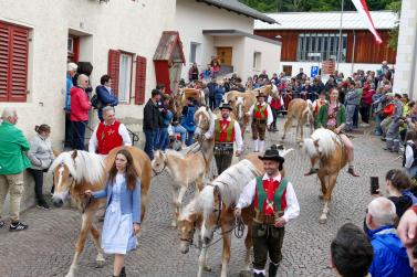 Haflinger-Umzug in Schluderns (01.06.2024); Fotos: Sepp