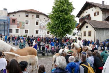 Haflinger-Umzug in Schluderns (01.06.2024); Fotos: Sepp