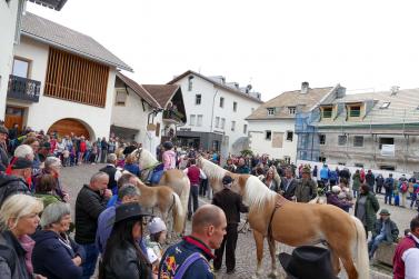 Haflinger-Umzug in Schluderns (01.06.2024); Fotos: Sepp