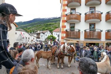 Haflinger-Umzug in Schluderns (01.06.2024); Fotos: Sepp