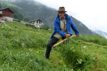 Landesentscheid im Handmähen am 28. Juli 2019 in Trumsberg in Kastelbell. Fotos: Sepp