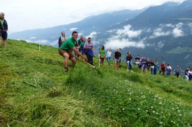 Landesentscheid im Handmähen am 28. Juli 2019 in Trumsberg in Kastelbell. Fotos: Sepp