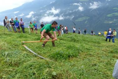 Landesentscheid im Handmähen am 28. Juli 2019 in Trumsberg in Kastelbell. Fotos: Sepp