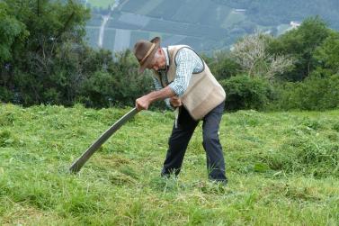 Landesentscheid im Handmähen am 28. Juli 2019 in Trumsberg in Kastelbell. Fotos: Sepp