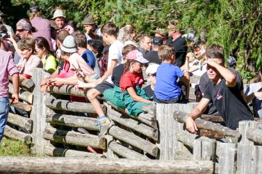 „Schoufschoad“ in Langtaufers (09.09.2023); Fotos: Sepp