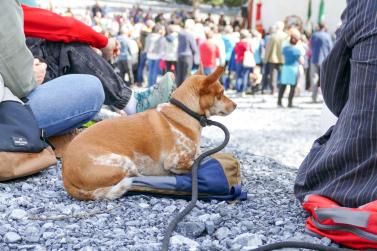 Wallfahrt zu den Heiligen Drei Brunnen (20.05.2024); Fotos: Sepp