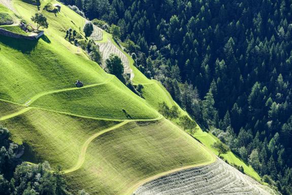 Grün ist nicht gleich grün. So gesehen am 4. Juli 2024 in St. Martin im Kofel; Fotos: Sepp