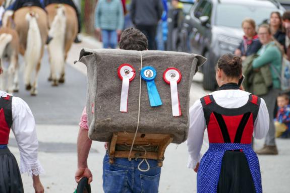 Haflinger-Umzug in Schluderns (01.06.2024); Fotos: Sepp