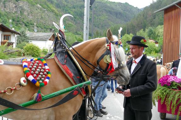 Haflinger-Umzug in Schluderns (01.06.2024); Fotos: Sepp