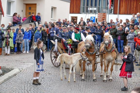 Haflinger-Umzug in Schluderns (01.06.2024); Fotos: Sepp