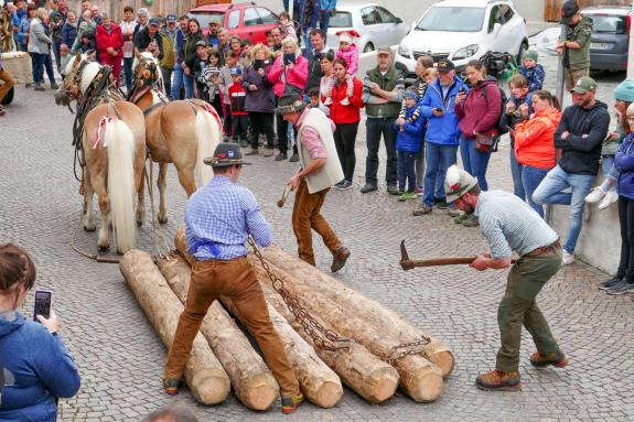 Haflinger-Umzug in Schluderns (01.06.2024); Fotos: Sepp