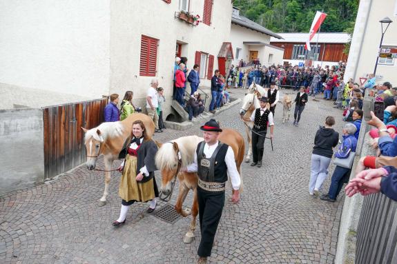 Haflinger-Umzug in Schluderns (01.06.2024); Fotos: Sepp