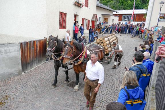 Haflinger-Umzug in Schluderns (01.06.2024); Fotos: Sepp