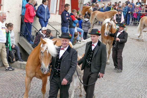 Haflinger-Umzug in Schluderns (01.06.2024); Fotos: Sepp