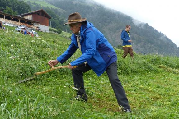 Landesentscheid im Handmähen am 28. Juli 2019 in Trumsberg in Kastelbell. Fotos: Sepp