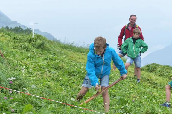 Landesentscheid im Handmähen am 28. Juli 2019 in Trumsberg in Kastelbell. Fotos: Sepp