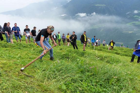 Landesentscheid im Handmähen am 28. Juli 2019 in Trumsberg in Kastelbell. Fotos: Sepp