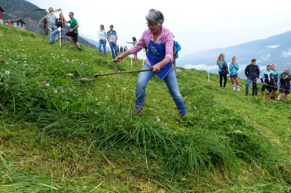 Landesentscheid im Handmähen am 28. Juli 2019 in Trumsberg in Kastelbell. Fotos: Sepp