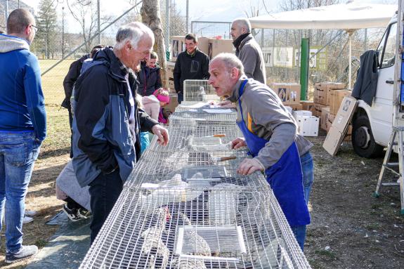 Landsprachmarkt in Goldrain, 17.03.2023; Fotos: Sepp 