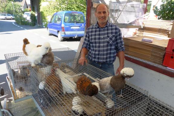 Matthäusmarkt 2018 in Prad; Fotos: Sepp