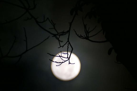 Wer kratzte am ersten Winterzeit-Sonntag am 29. Oktober in aller Herrgottsfrüh am vollen Mond? Foto: Sepp