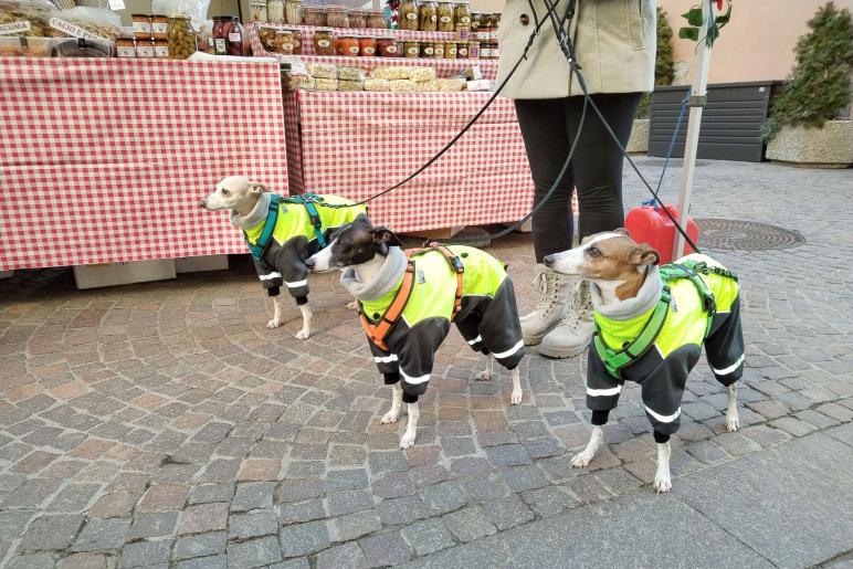 15. Weihnachtsmarkt in Schlanders; Fotos: Sepp