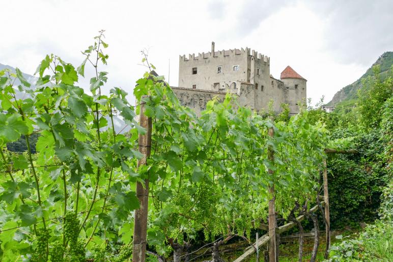 2. Vinschgauer Weinpräsentation im Schloss Kastelbell; Fotos: Sepp