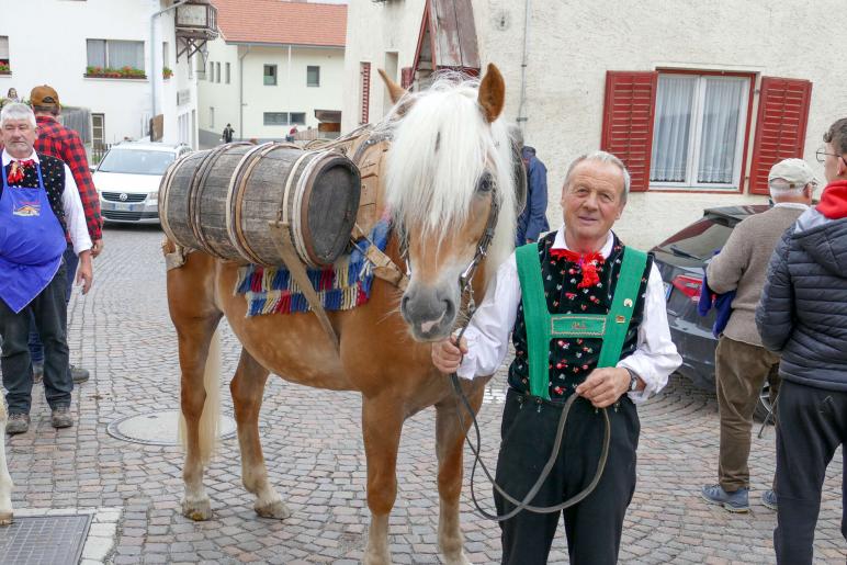 Haflinger-Umzug in Schluderns (01.06.2024); Fotos: Sepp