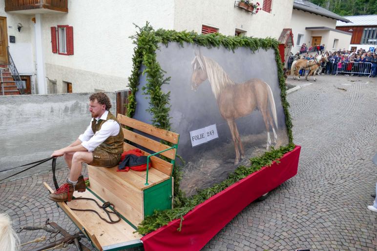 Haflinger-Umzug in Schluderns (01.06.2024); Fotos: Sepp