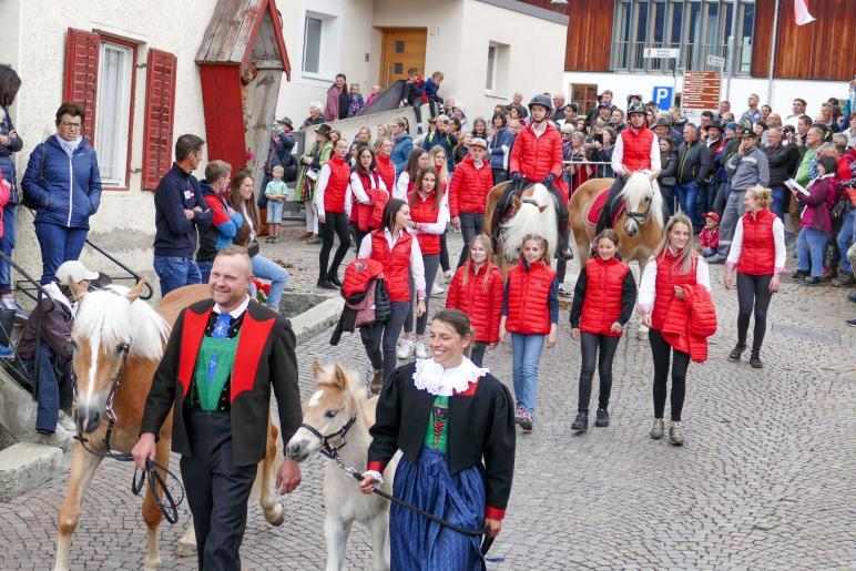 Haflinger-Umzug in Schluderns (01.06.2024); Fotos: Sepp